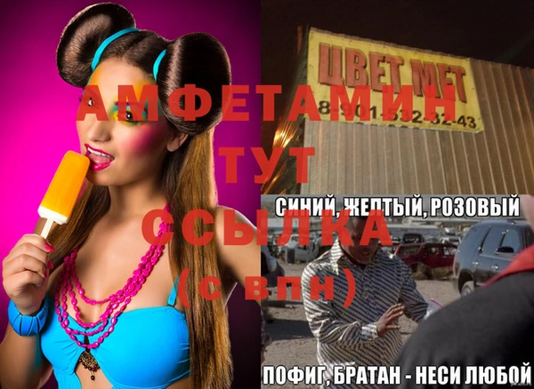 индика Алзамай