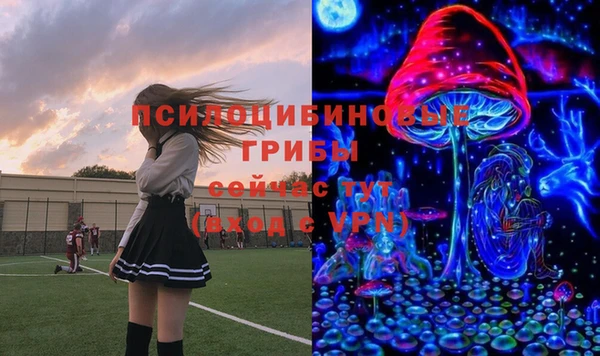 дурь Алексин