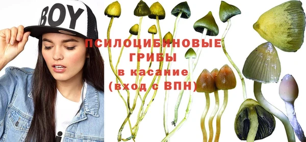 герыч Алексеевка