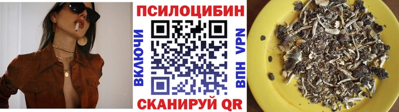 Галлюциногенные грибы прущие грибы  mega ссылки  Карачаевск  где можно купить  