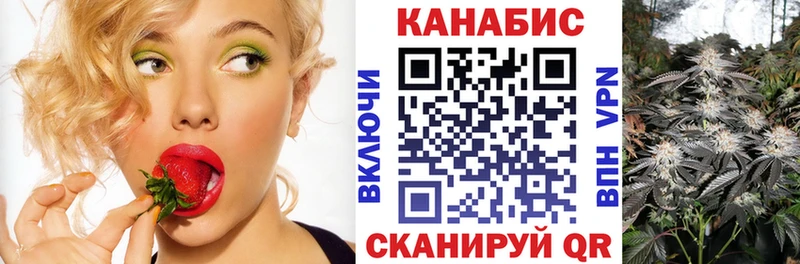 Конопля LSD WEED  маркетплейс какой сайт  Карачаевск 